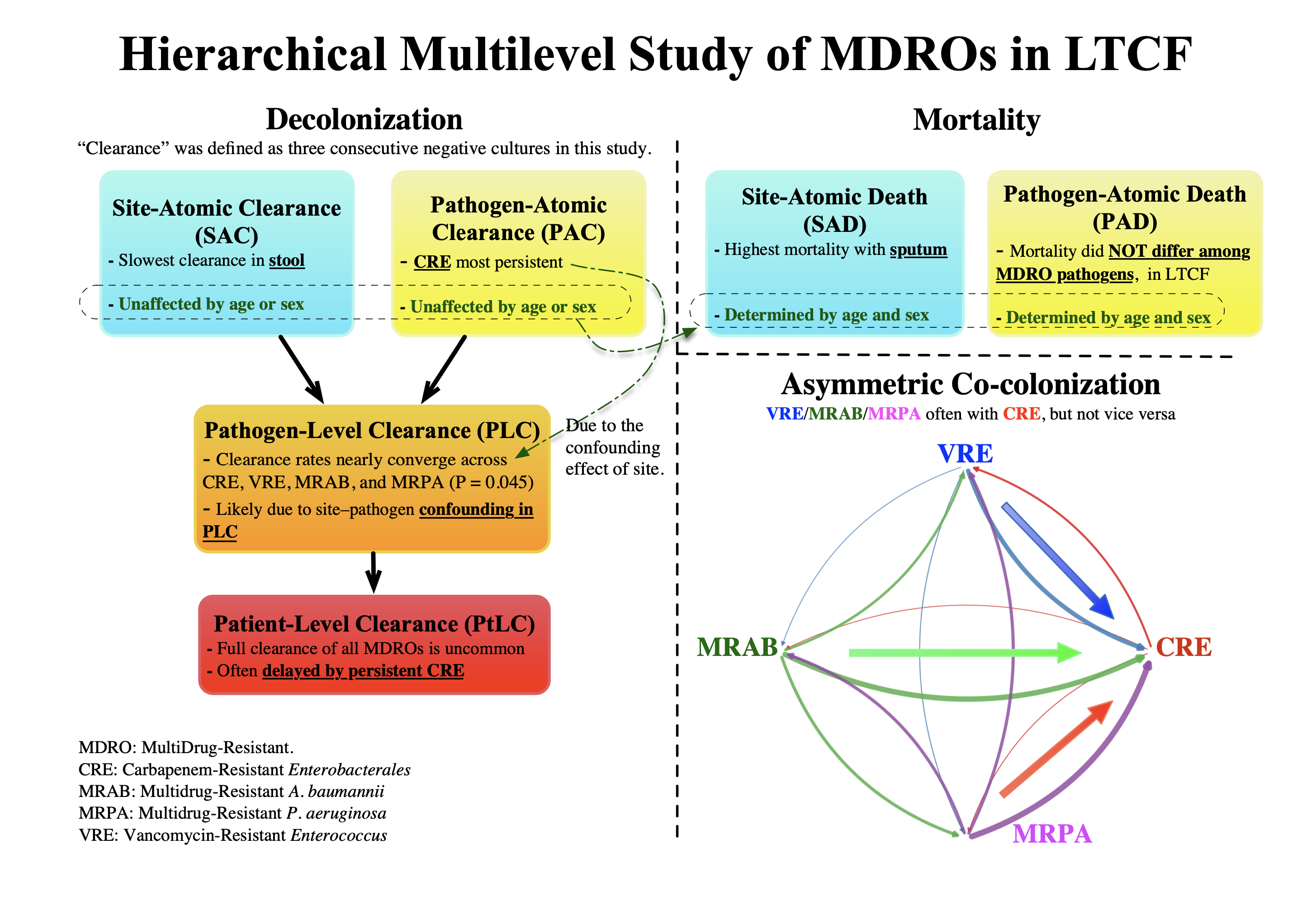 Graphical abstract illustrating hierarchical MDRO clearance and co-colonization analysis