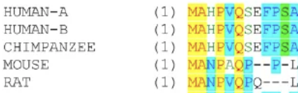 Vector NTI Alignment